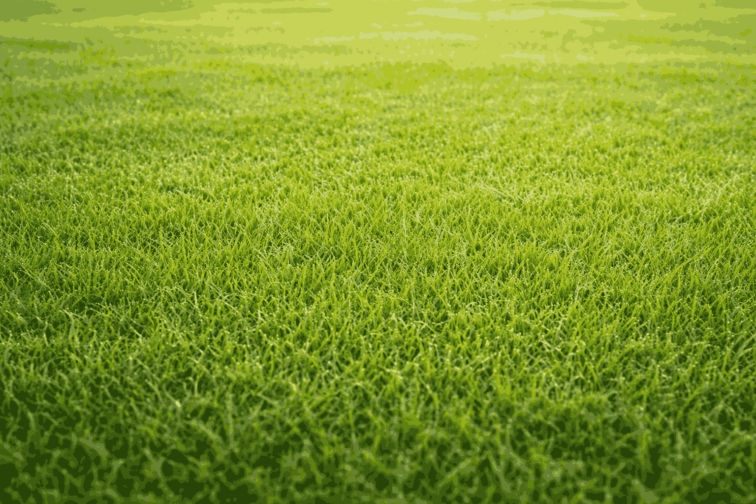 Serviço profissional de jardinagem e roçadeira em Lagoa Santa - manutenção de gramados