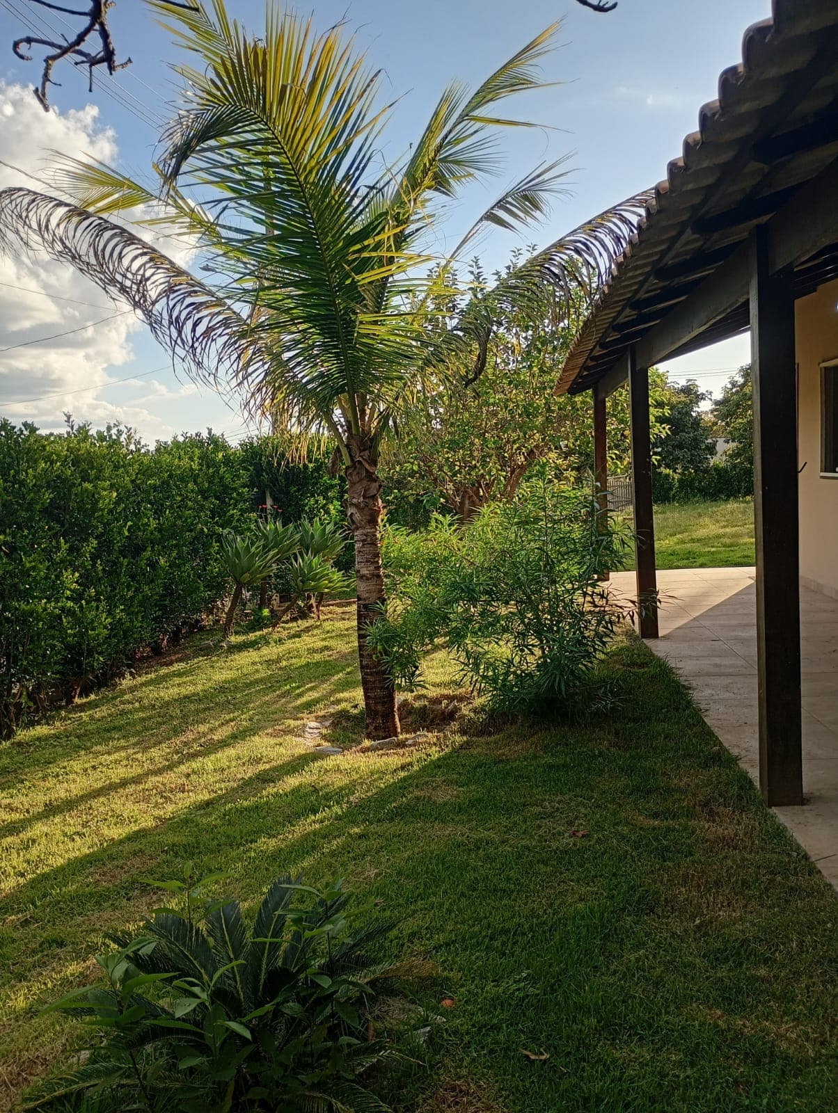 Corte de Grama Completo - Depois